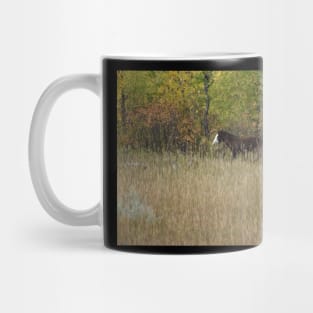 Wild Horse Foal Mug